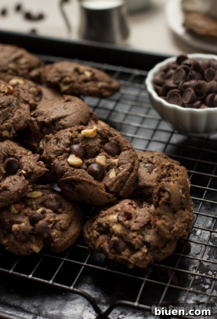 Delicious Chocolate Espresso Toasted Hazelnut Cookies cooling on a wire rack