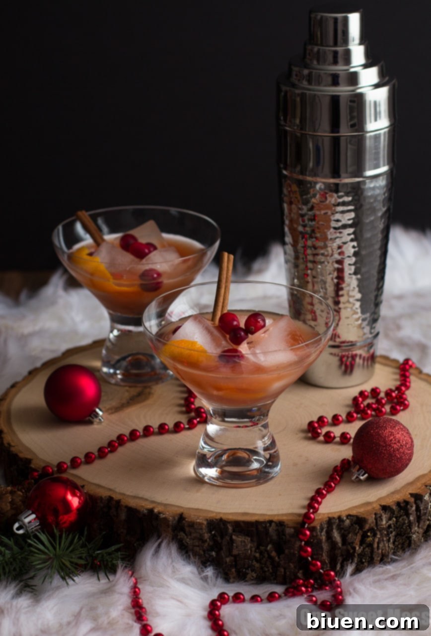 Spiced Cranberry Rum Old-Fashioned: Spiced rum, tart cranberry juice, and warm cinnamon and cloves get shaken to create a festive holiday cocktail perfect for celebrating New Year's Eve.