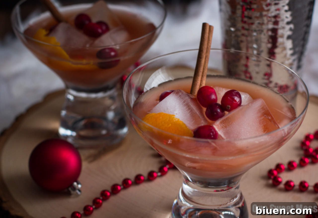 Spiced Cranberry Rum Old-Fashioned: Spiced rum, tart cranberry juice, and warm cinnamon and cloves get shaken to create a festive holiday cocktail perfect for celebrating New Year's Eve.